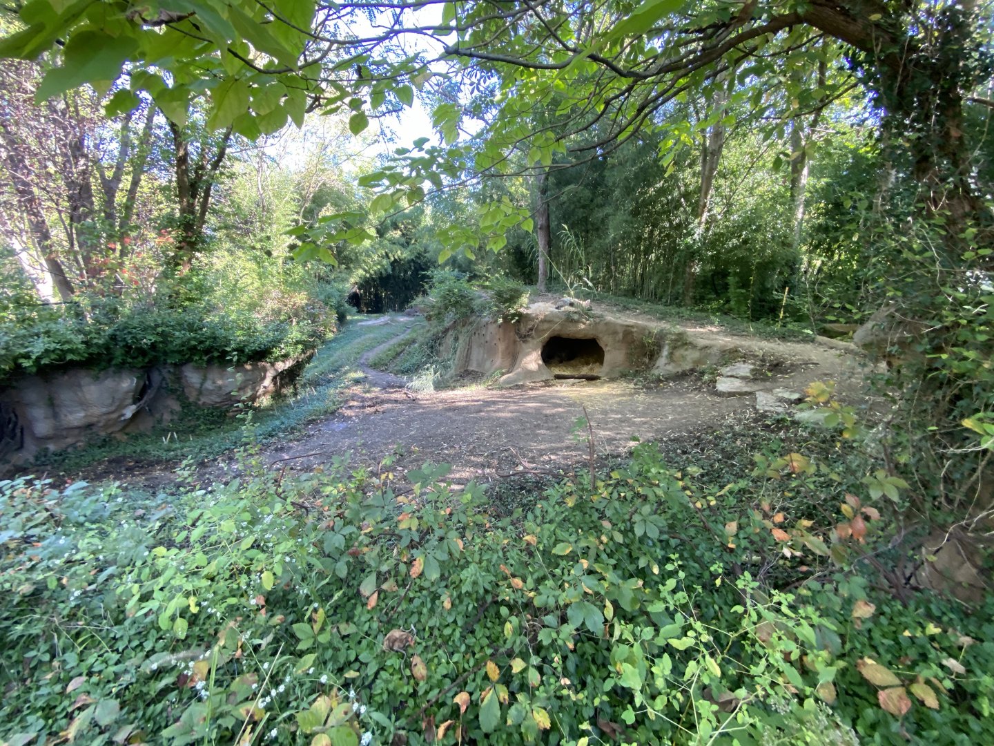 Oct. 2021 - River’s Edge - Africa - Spotted Hyena Exhibit