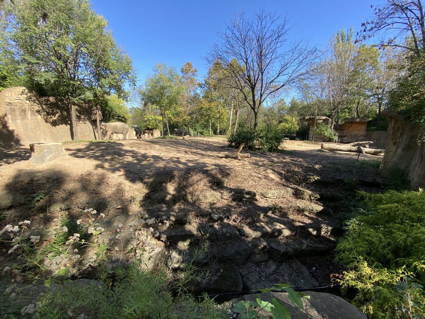 Oct. 2021 - River’s Edge - Asia - Elephant Oasis (1 of 4 Asian Elephant Exhibits)