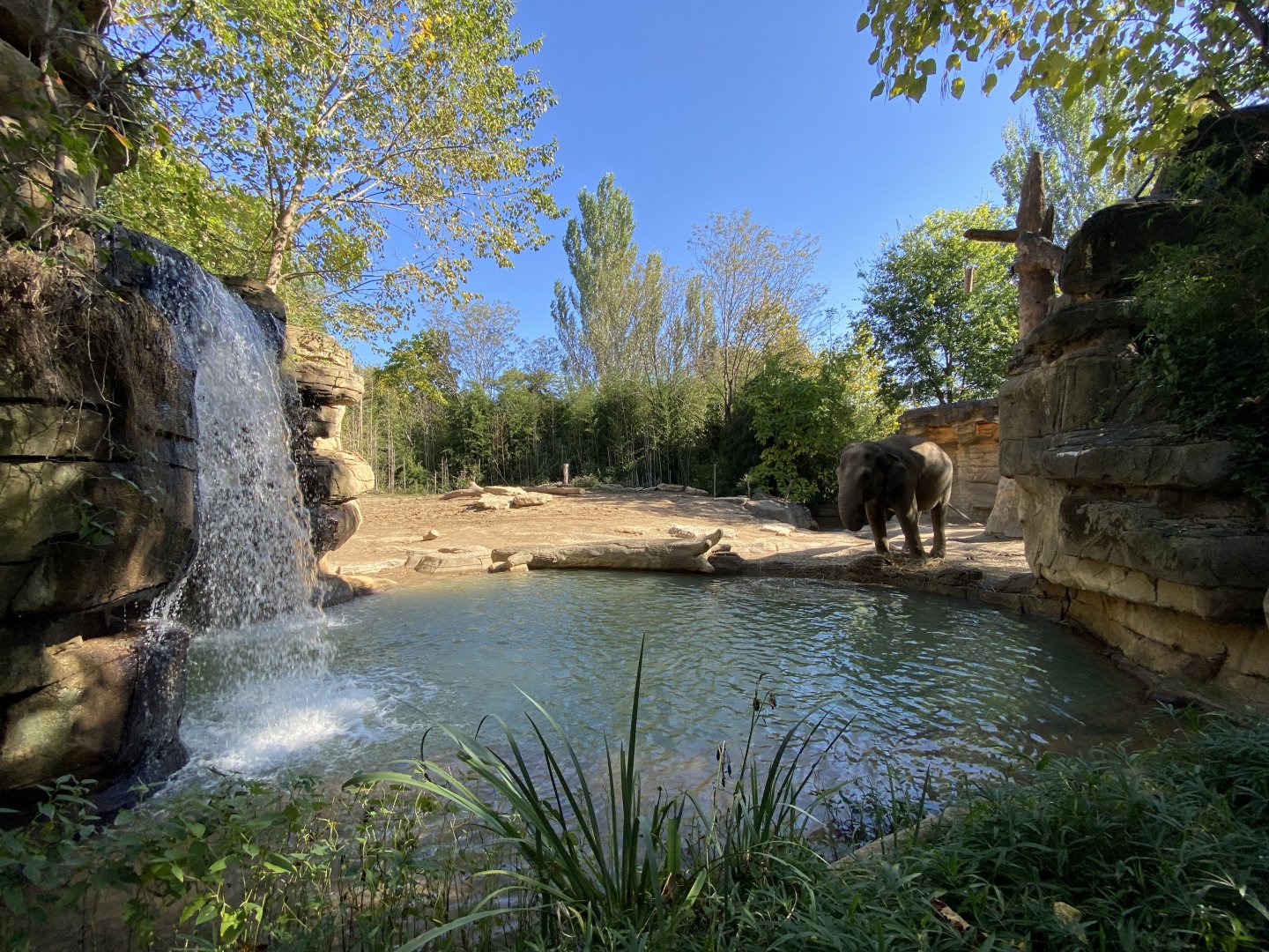 Oct. 2021 - River’s Edge - Asia - Elephant Springs (1 of 4 Asian Elephant Exhibits)