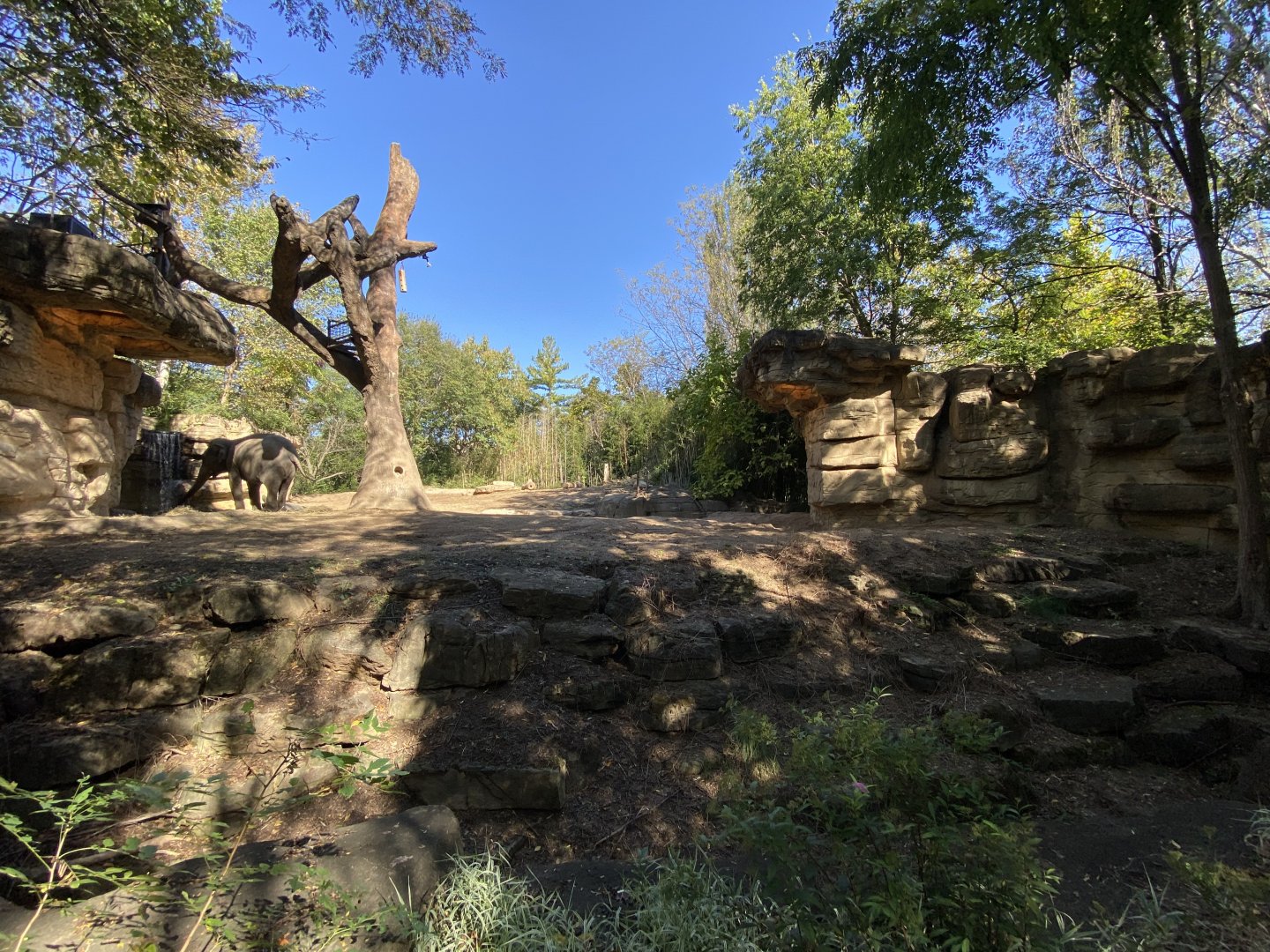 Oct. 2021 - River’s Edge - Asia - Elephant Springs (1 of 4 Asian Elephant Exhibits)