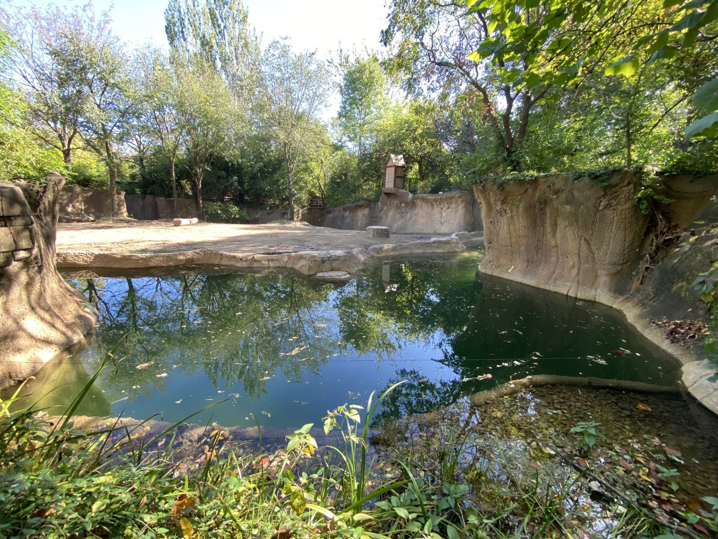 Oct. 2021 - River’s Edge - Asia - Lords of the Forest (1 of 4 Asian Elephant Exhibits)