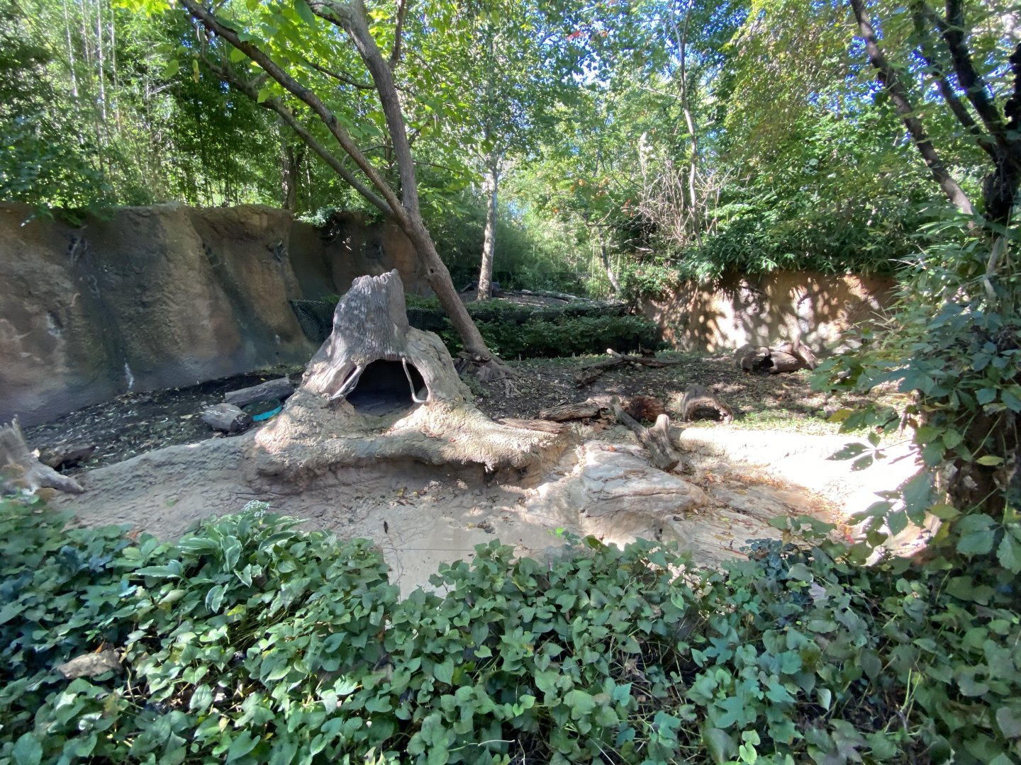 Oct. 2021 - River’s Edge - South America - Giant Anteater + Capybara Exhibits