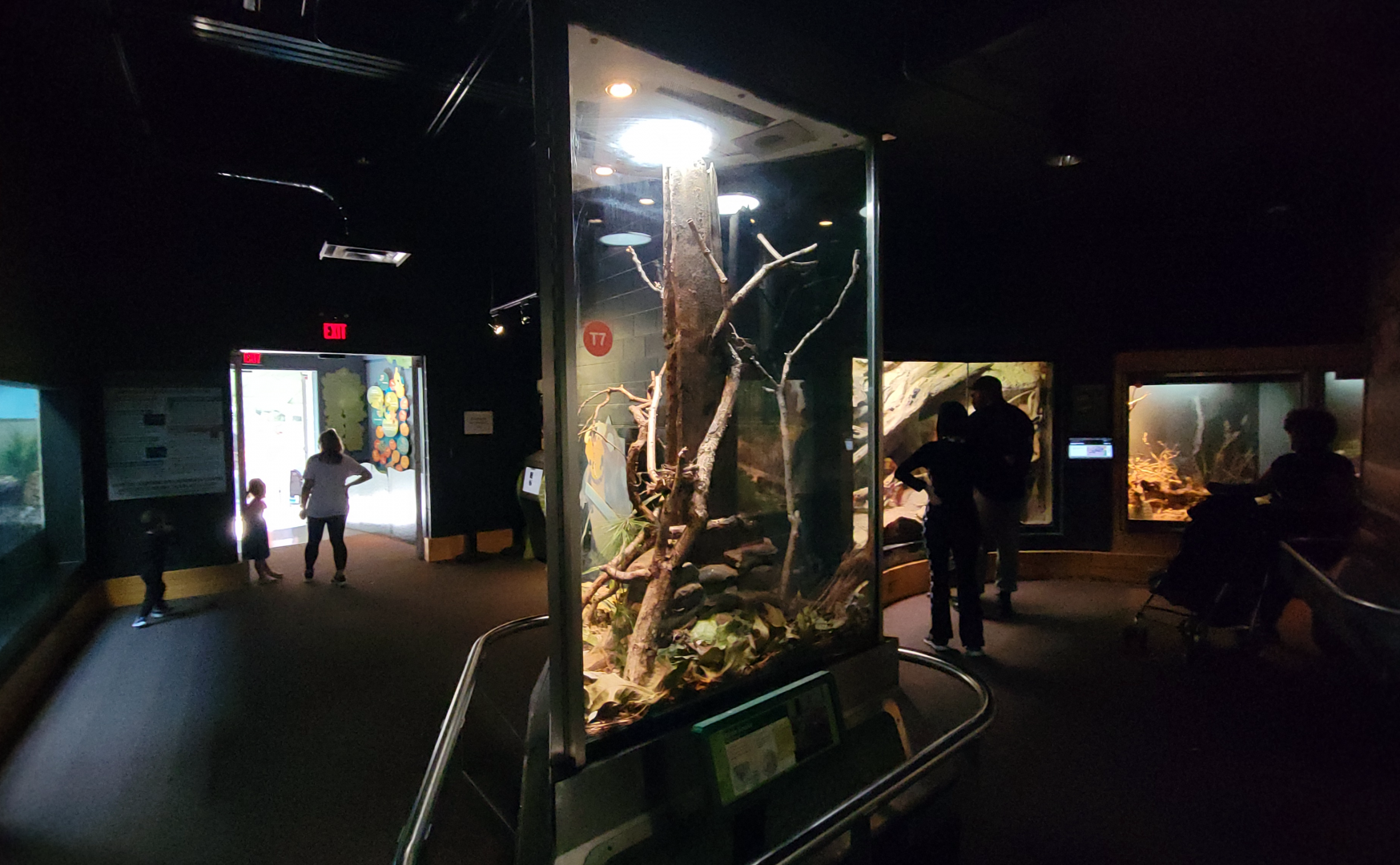 Oct. 2021 - Scaly, Slimy, Spectacular - Cornsnake Exhibit