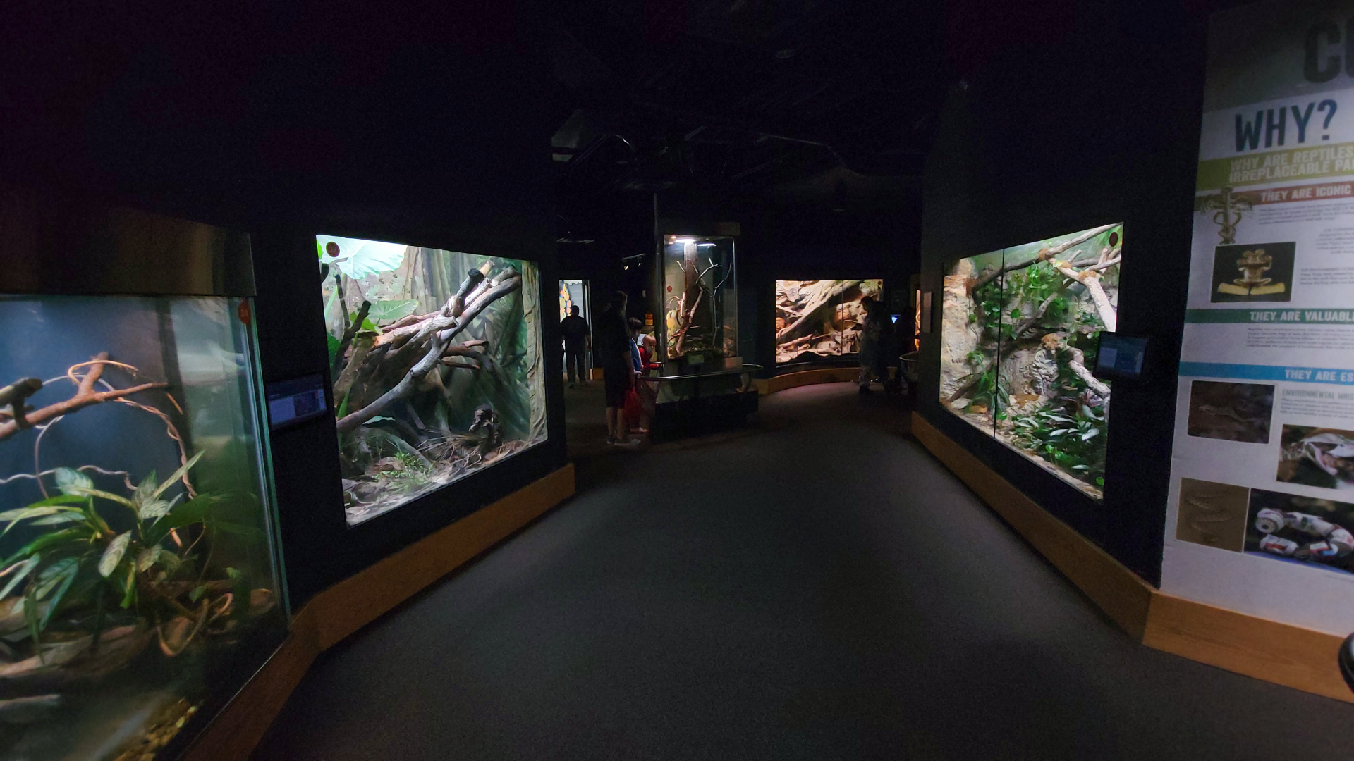 Oct. 2021 - Scaly, Slimy, Spectacular - Final Hallway