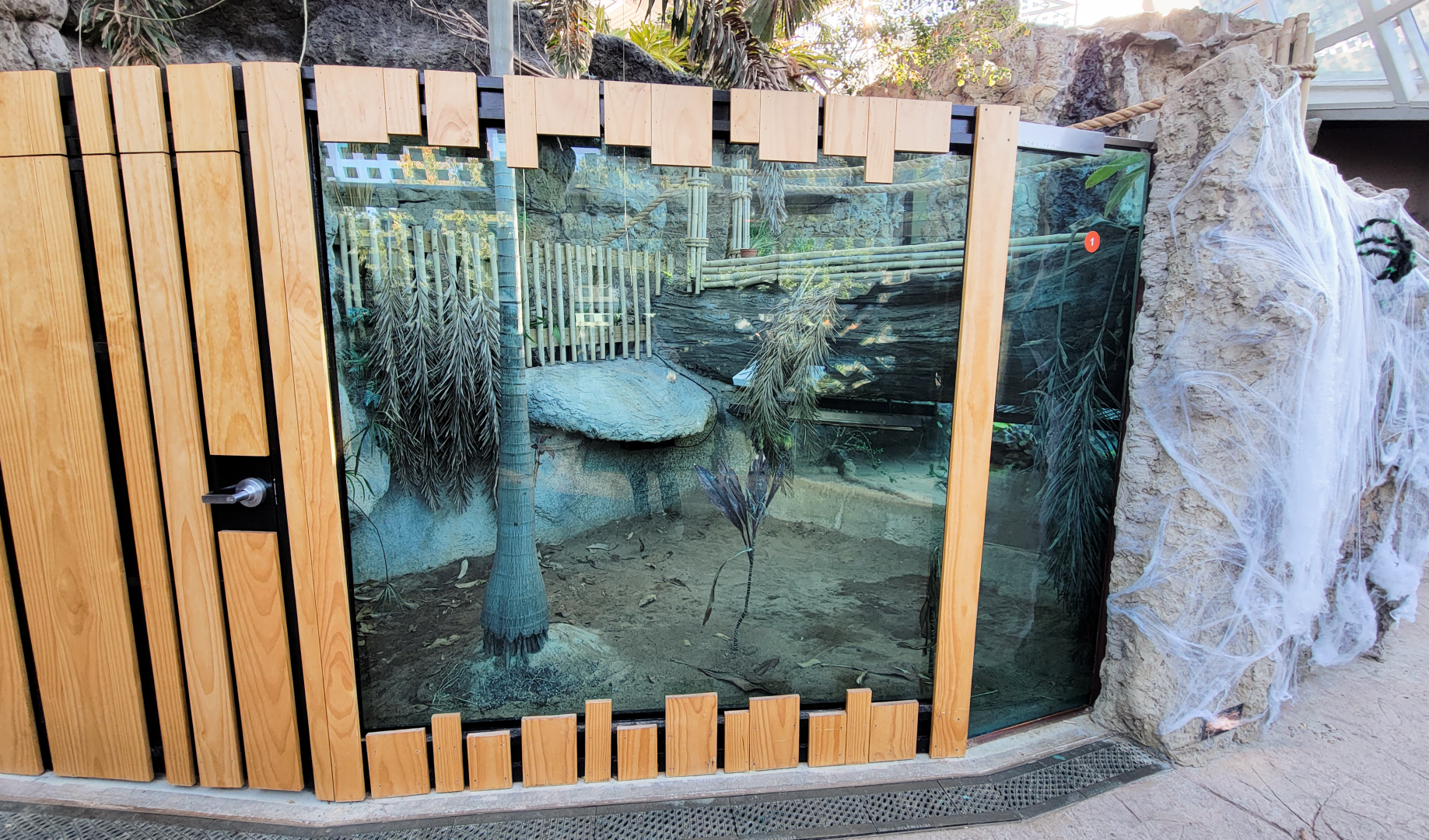 Oct. 2021 - Scaly, Slimy, Spectacular - Slender-snouted Crocodile Exhibit