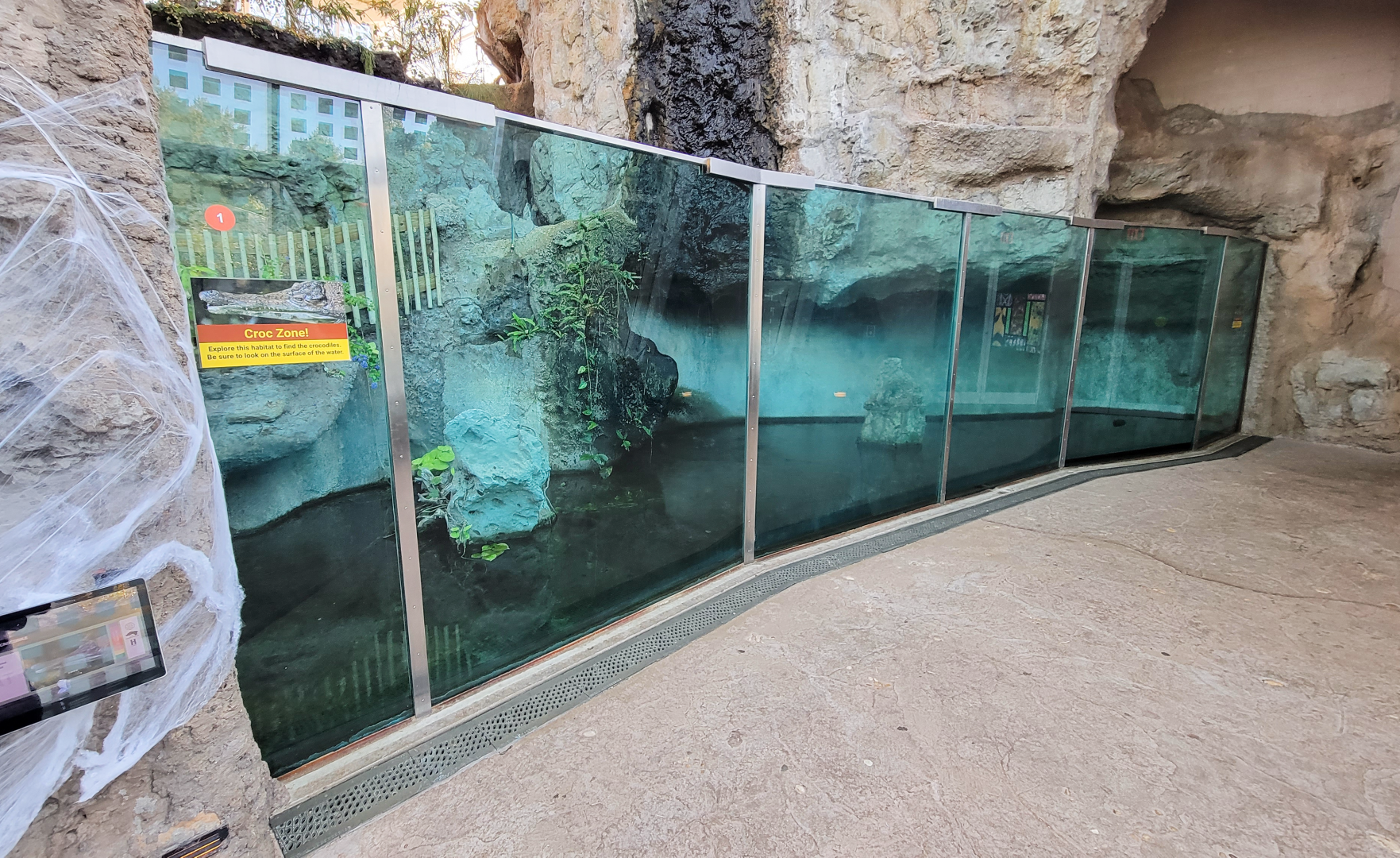 Oct. 2021 - Scaly, Slimy, Spectacular - Slender-snouted Crocodile Exhibit