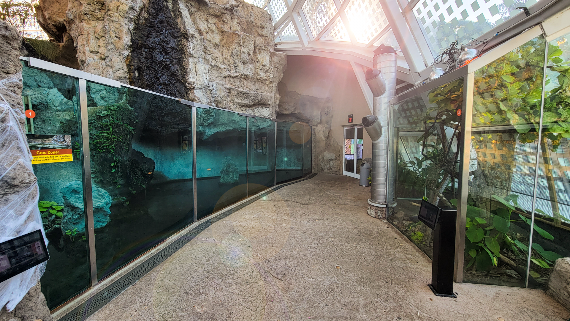 Oct. 2021 - Scaly, Slimy, Spectacular - Slender-snouted Crocodile + Timor Python Exhibits