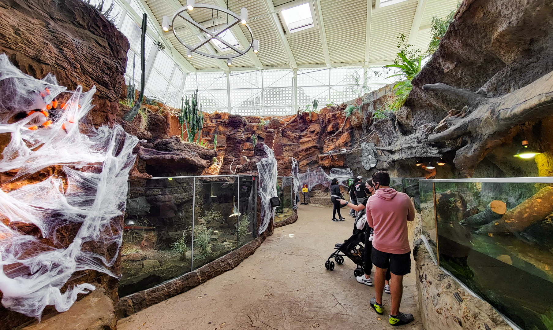 Oct. 2021 - Scaly, Slimy, Spectacular - Third Room