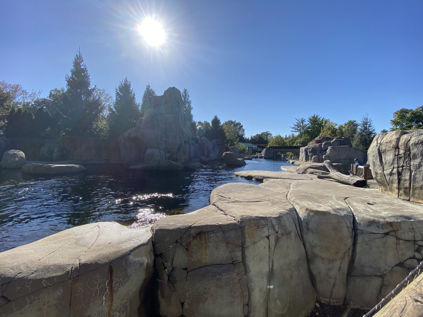 Oct. 2021 - Sea Lion Sound (California Sea Lions & Harbor Seals)
