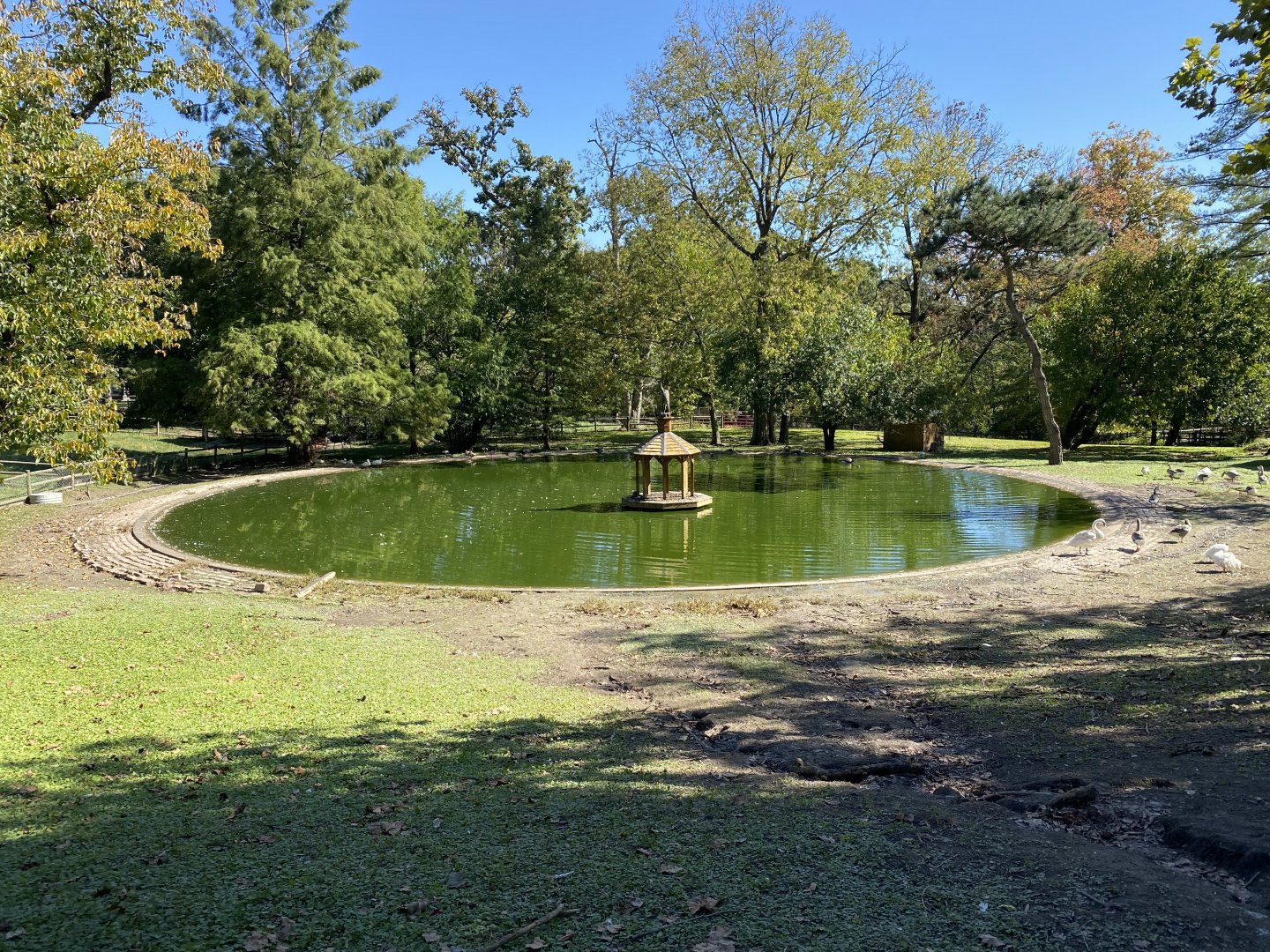 Oct. 2021 - Waterfowl Lake