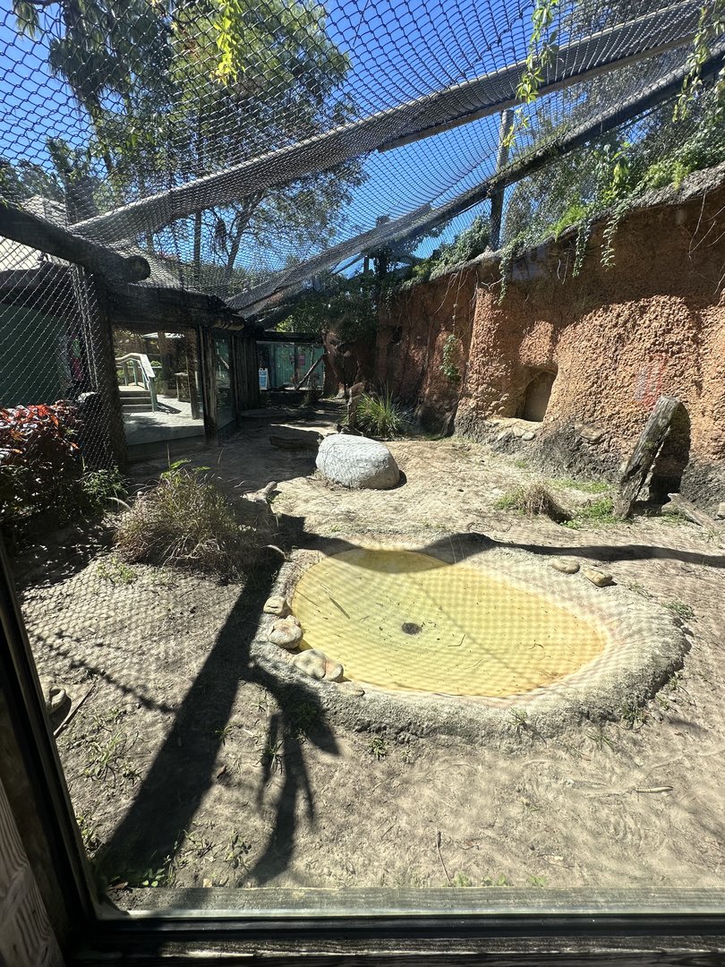 Oct. 2023 - (Adult) Komodo Dragon Enclosure