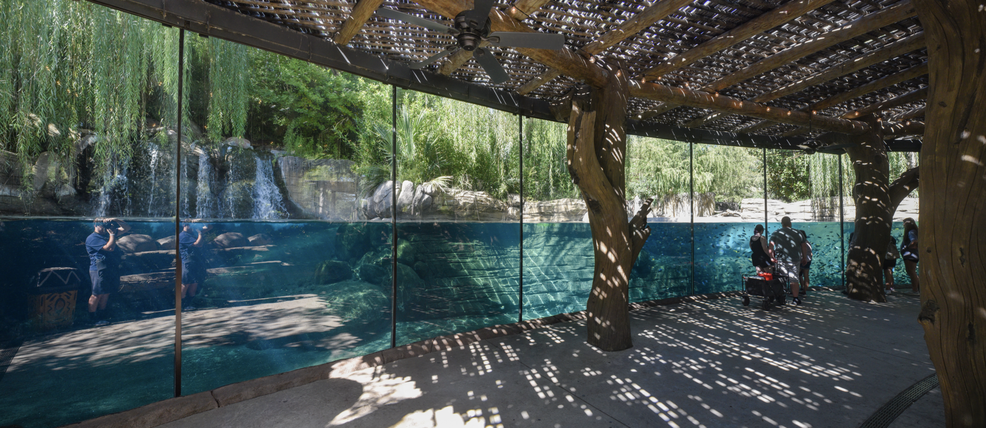 Oct. 2023 - African Savanna - Hippo Exhibit Panorama