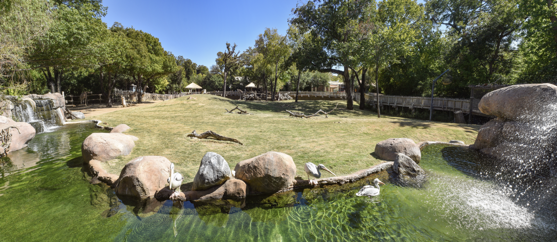 Oct. 2023 - African Savanna - Main Savanna