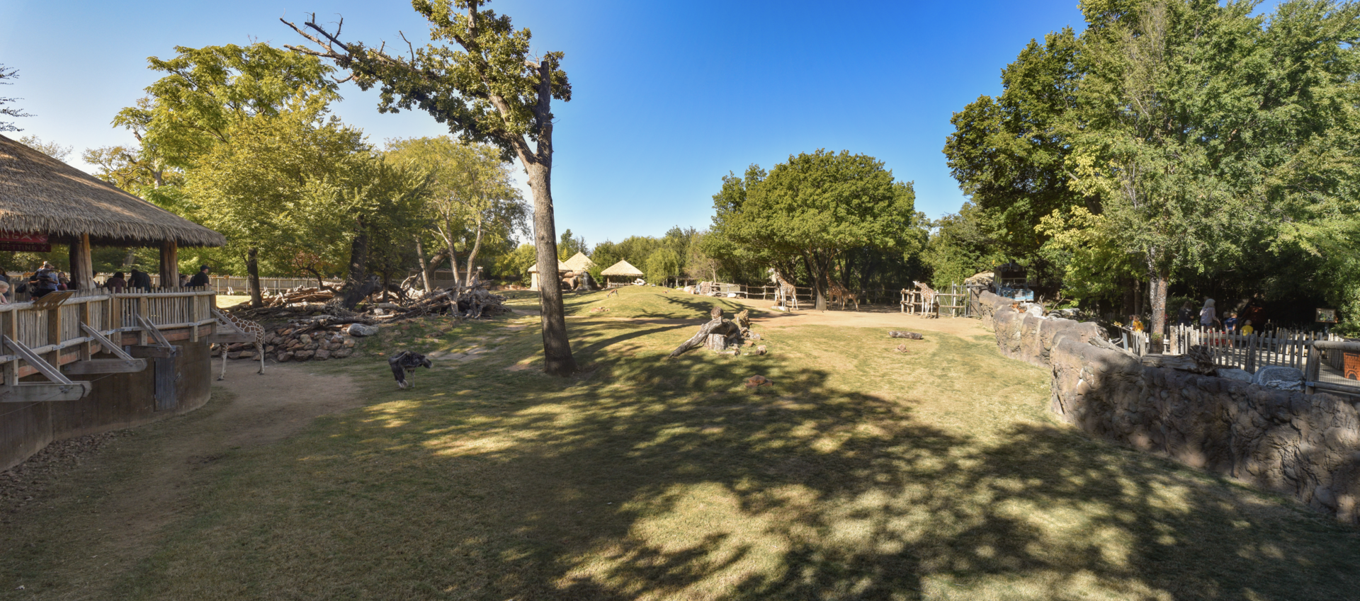 Oct. 2023 - African Savanna - Main Savanna