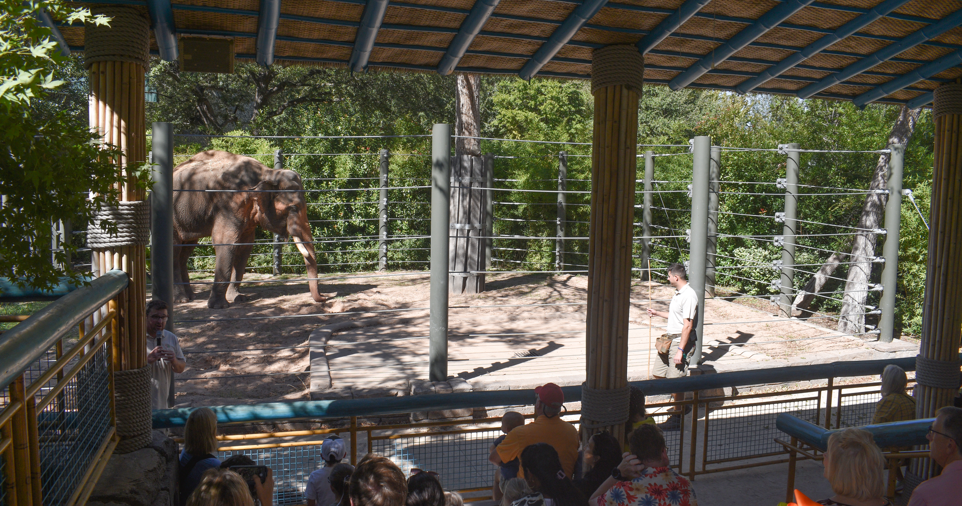 Oct. 2023 - Elephant Springs - Elephant Demonstration Area