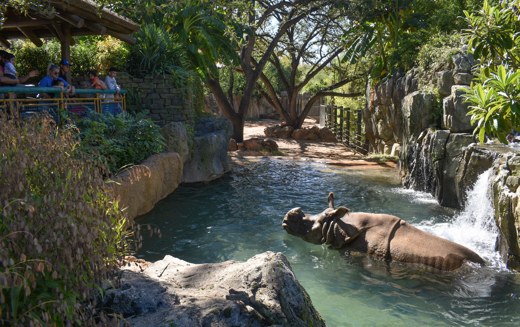 Oct. 2023 - Elephant Springs - First Indian Rhino Exhibit