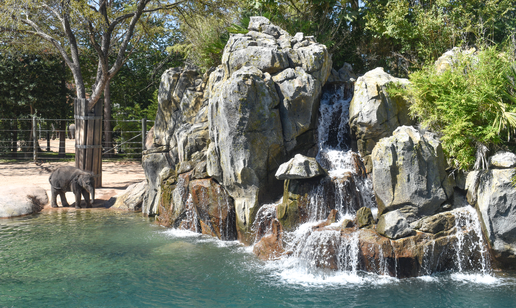 Oct. 2023 - Elephant Springs - South Habitat Waterfall
