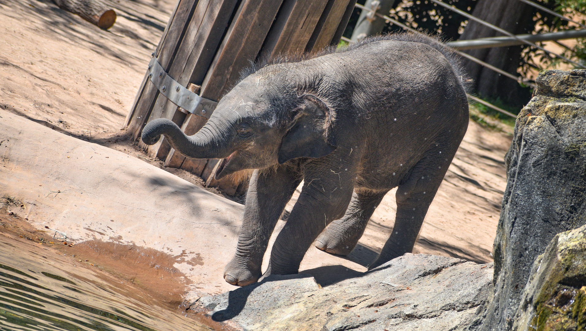 Oct. 2023 - Elephant Springs - Travis