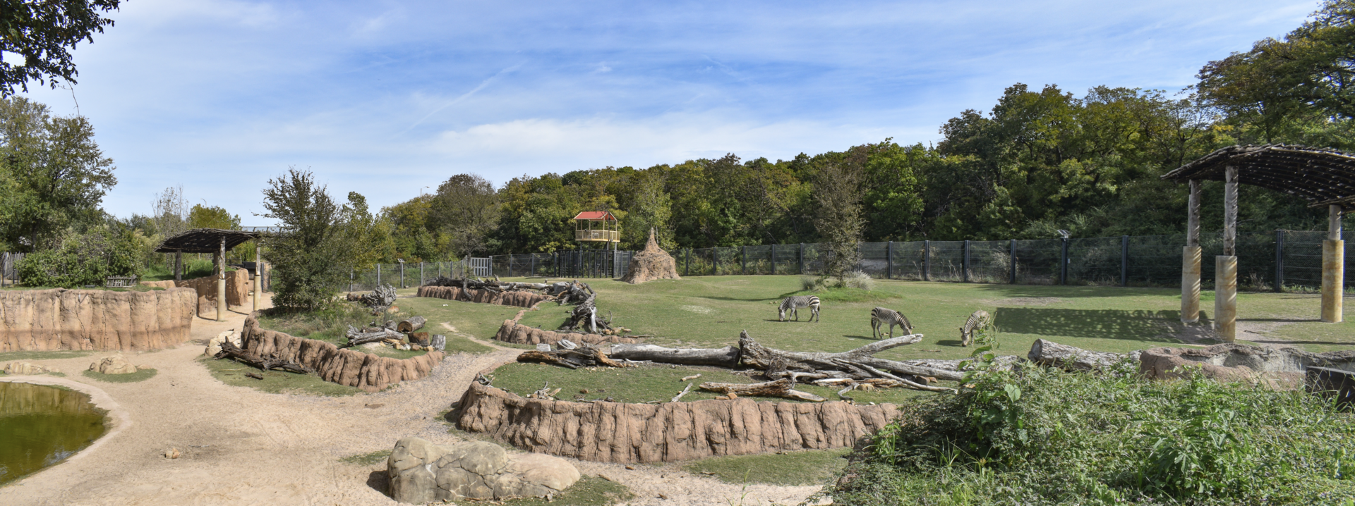 Oct. 2023 - Giants of the Savanna - North Habitat