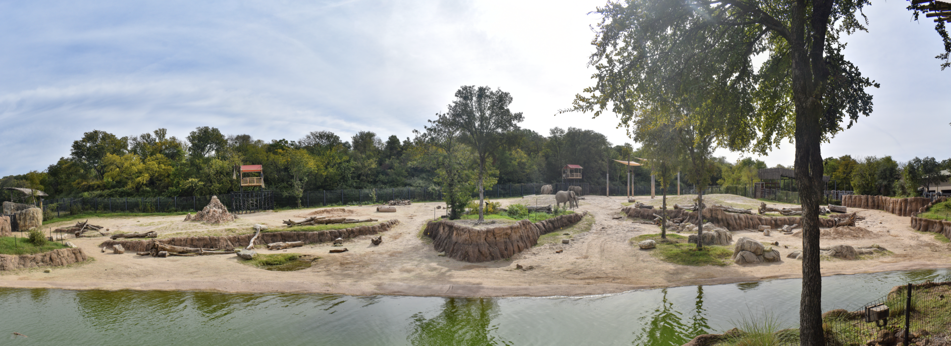 Oct. 2023 - Giants of the Savanna - South Habitat - Elephant Exhibit Panorama