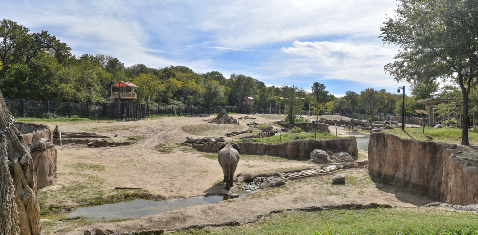 Oct. 2023 - Giants of the Savanna - South Habitat - Elephant Exhibit Panorama