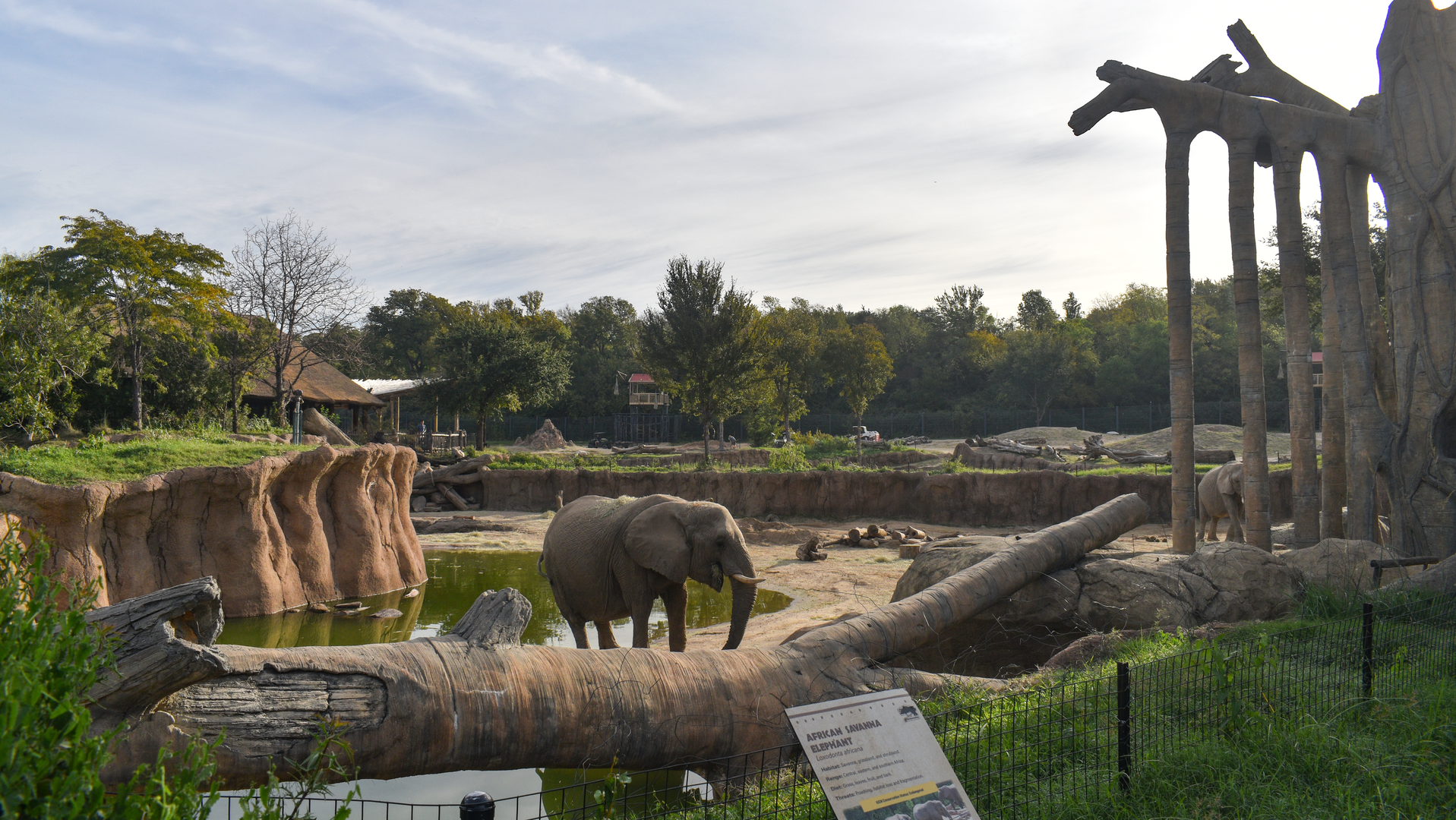 Oct. 2023 - Giants of the Savanna - Tembo Udengo Elephant Exhibit
