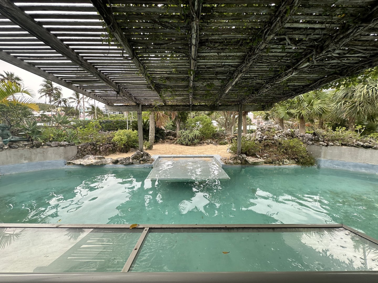 Oct. 2023 - Harbor Seal Enclosure