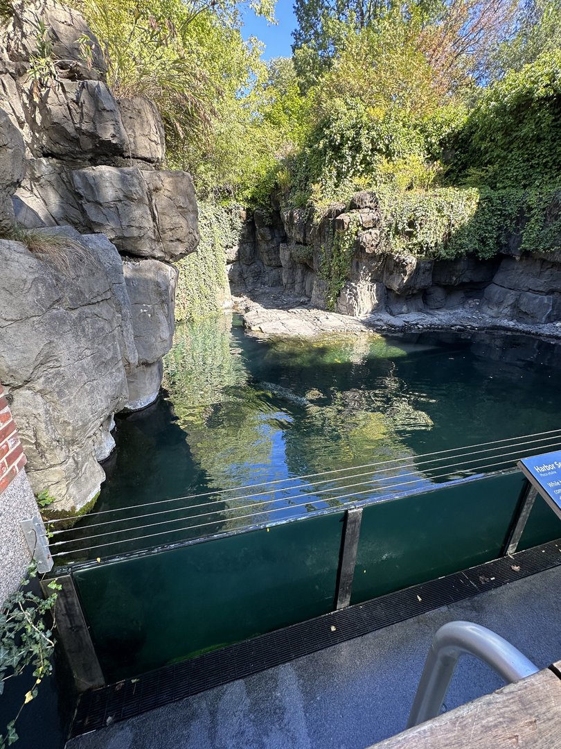 Oct. 2023 - Harbor Seal Enclosure
