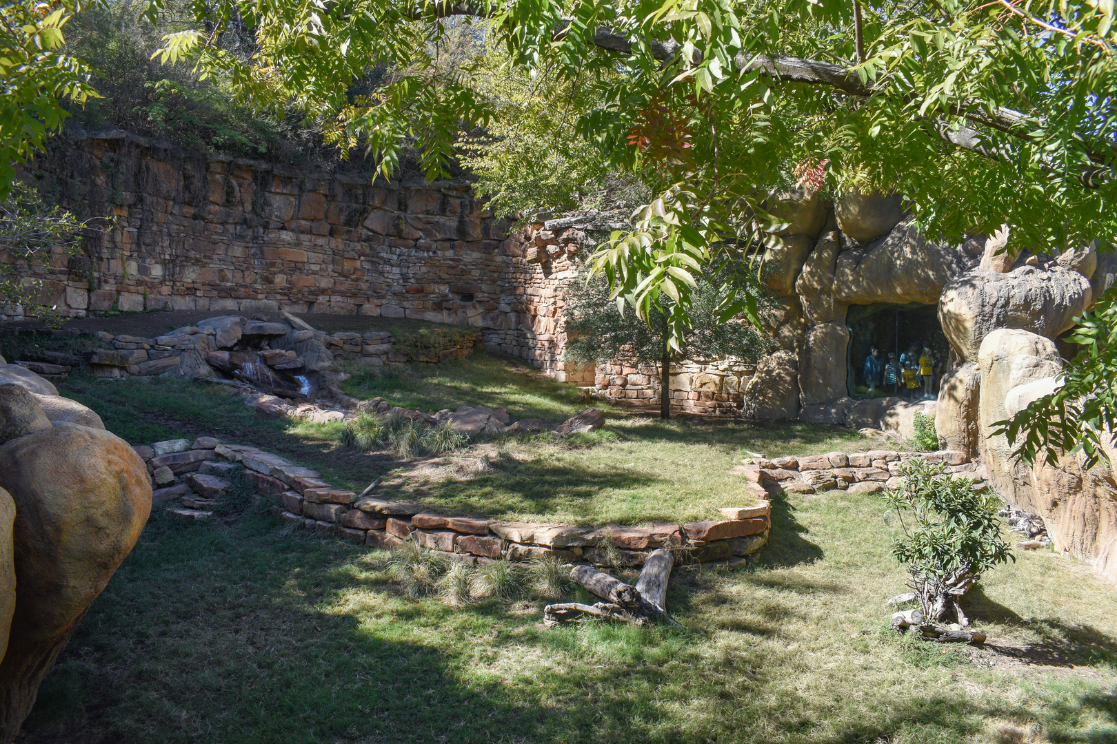 Oct. 2023 - Predators of Asia and Africa - Painted Dog Exhibit