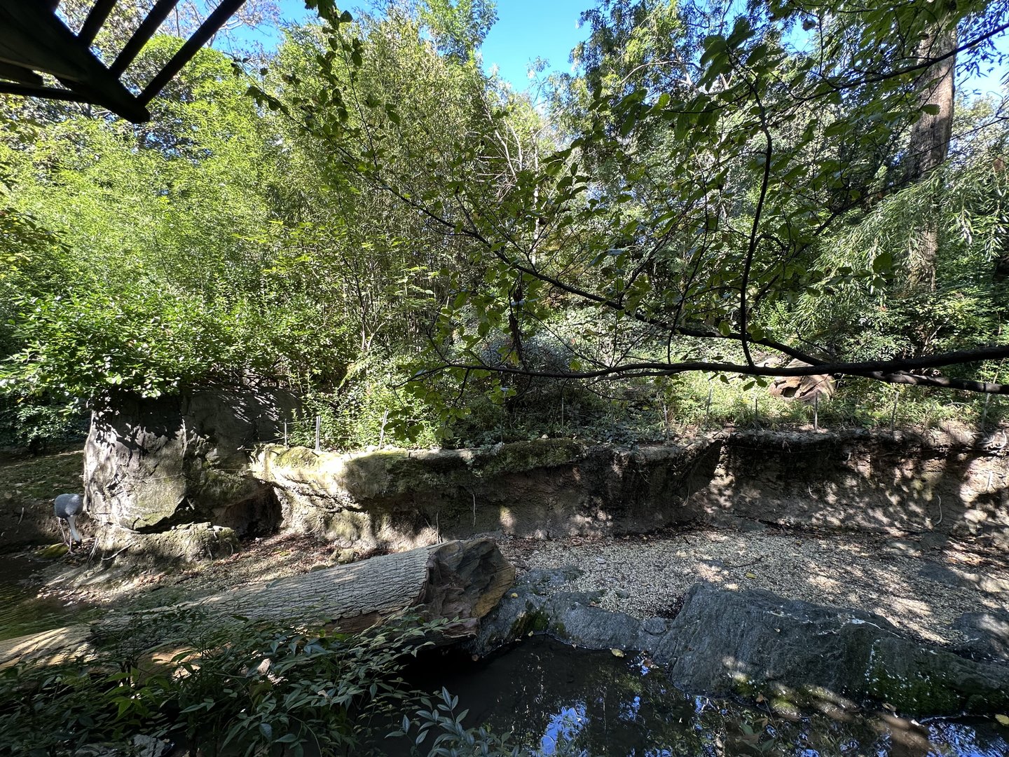 Oct. 2023 - White-Naped Crane Enclosure