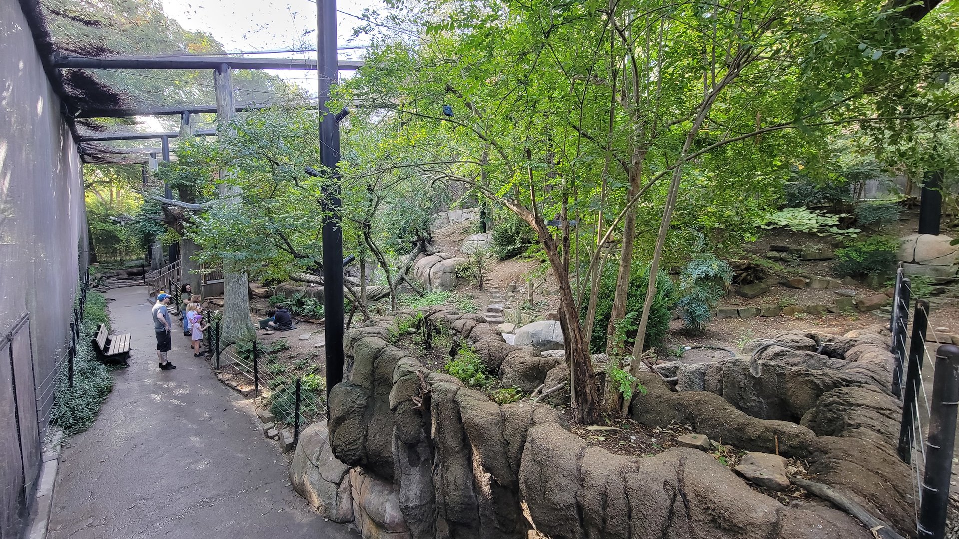 Oct. 2023 - Wilds of Africa - Forest Aviary