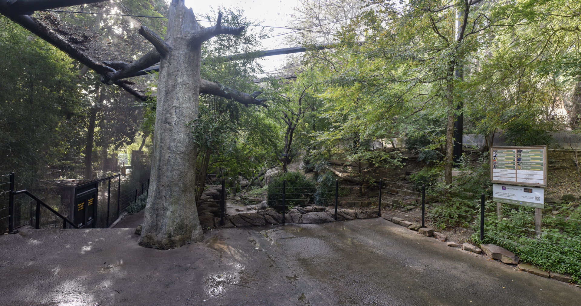 Oct. 2023 - Wilds of Africa - Forest Aviary