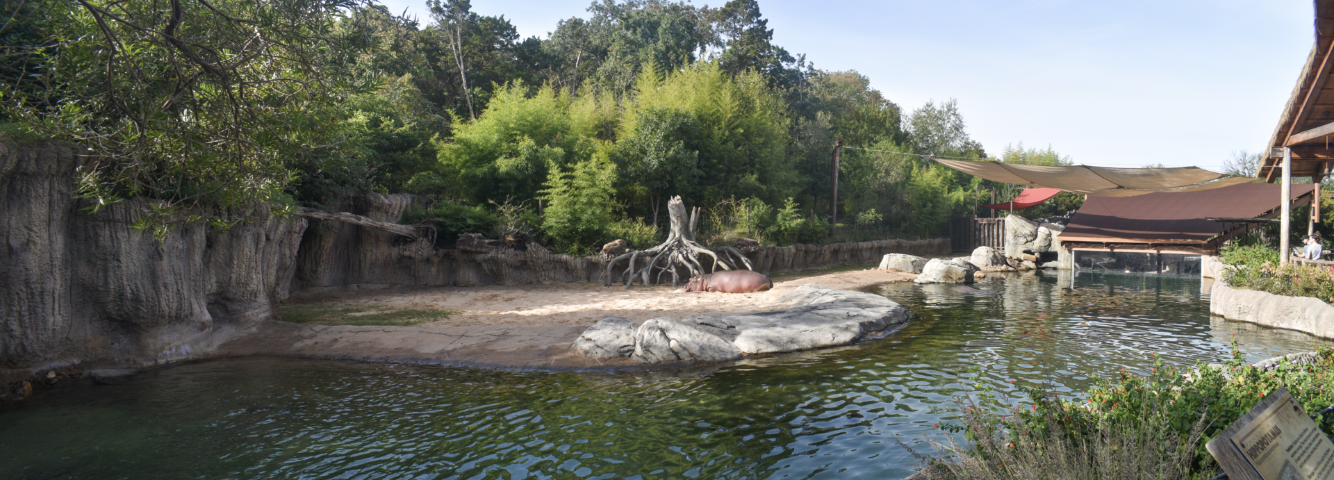 Oct. 2023 - Wilds of Africa - Hippo Outpost Panorama - Hippo + Okapi Exhibits