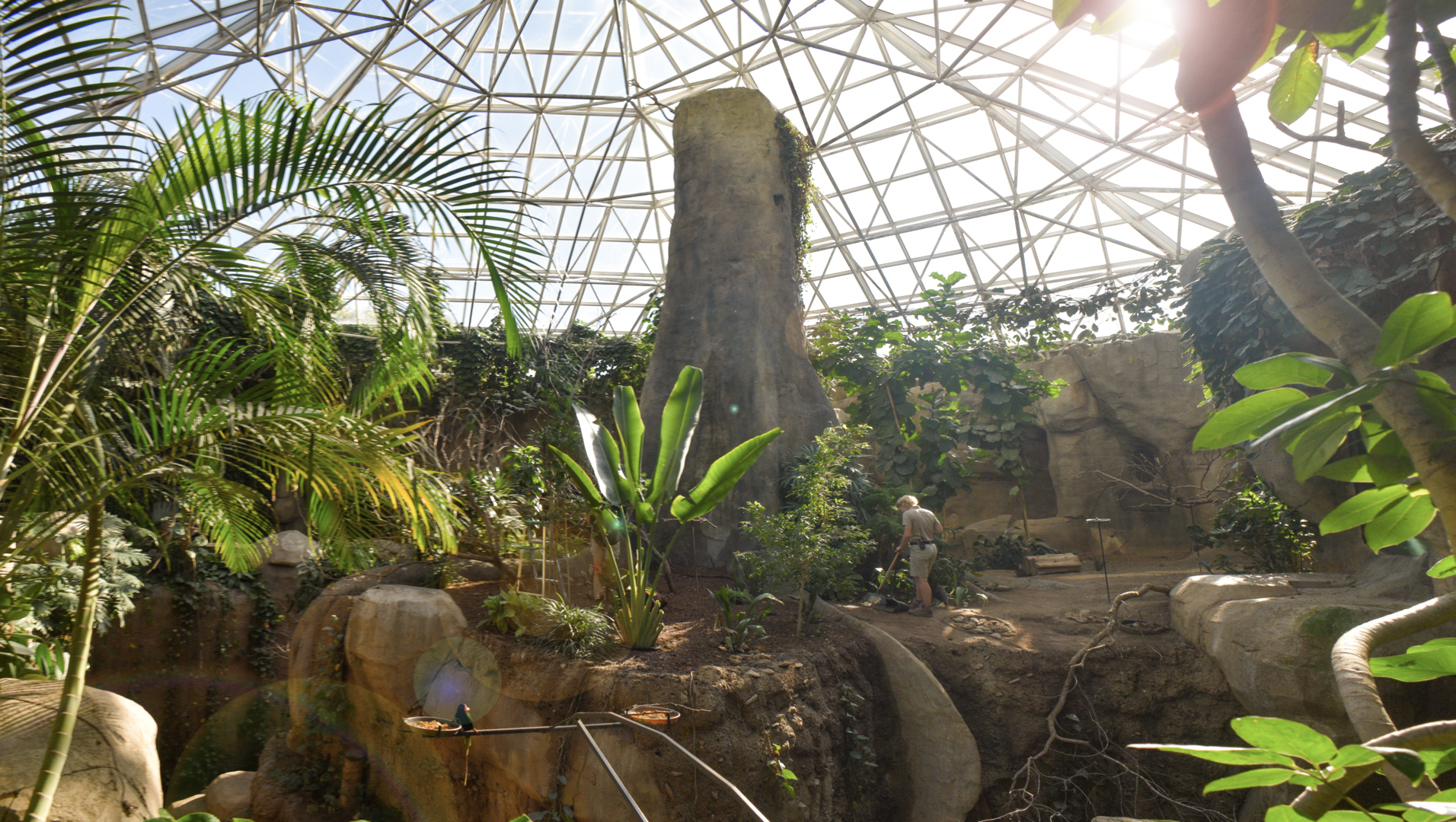 Oct. 2023 - World of Primates - Aviary