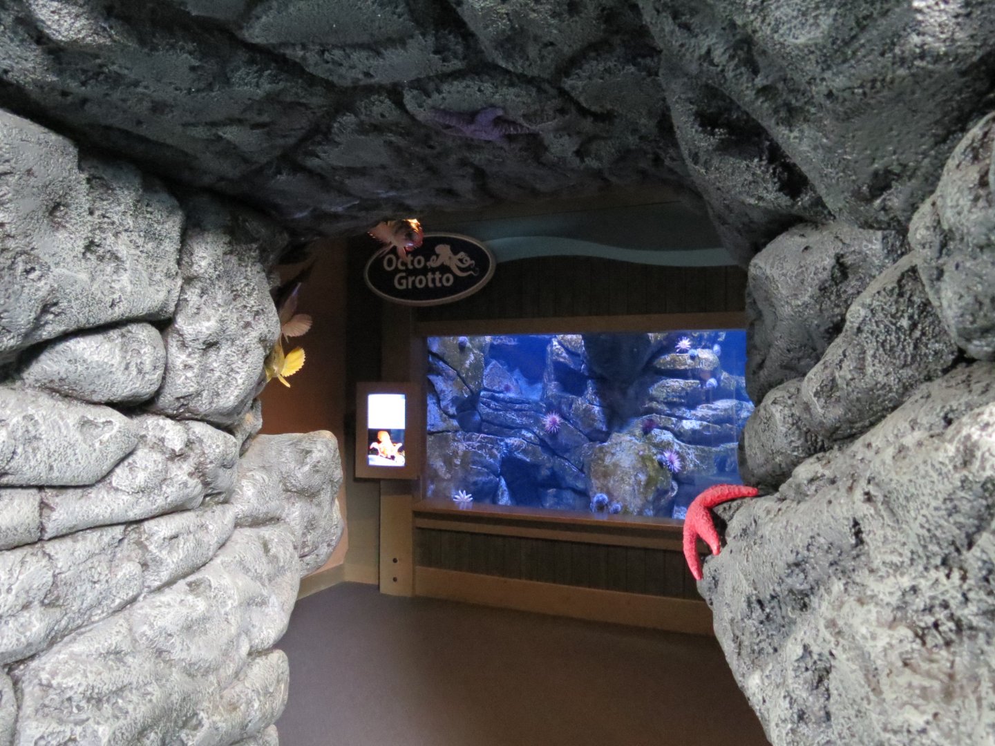 Octo Grotto Exhibit - Entrance