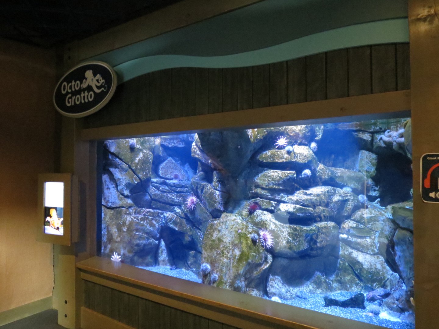 Octo Grotto Exhibit