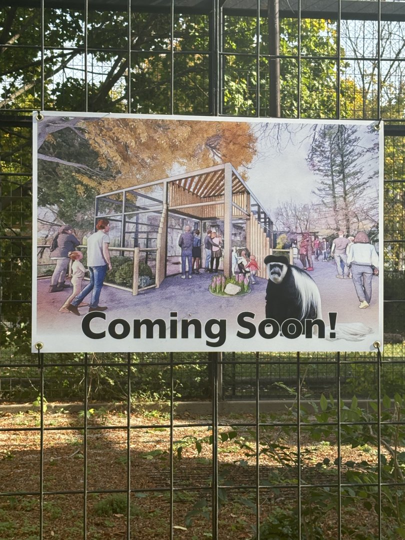 October 2024: Coming soon, new colobus monkey exhibit