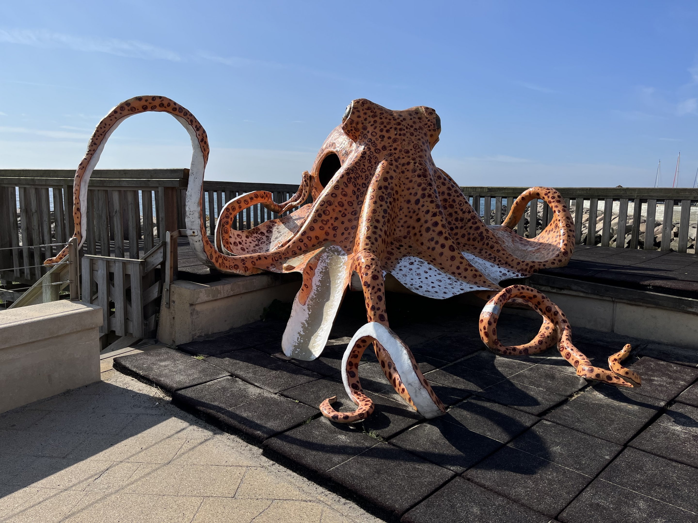 Octopus Play Area