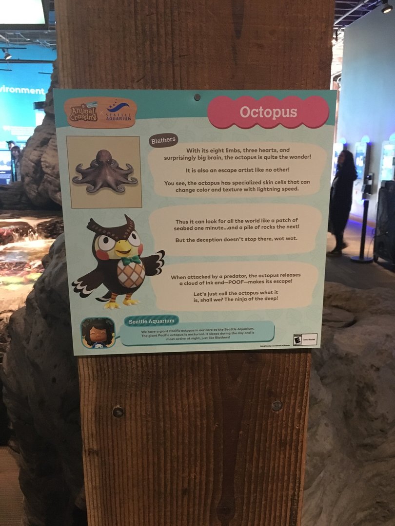 Octopus Signage - Animal Crossing