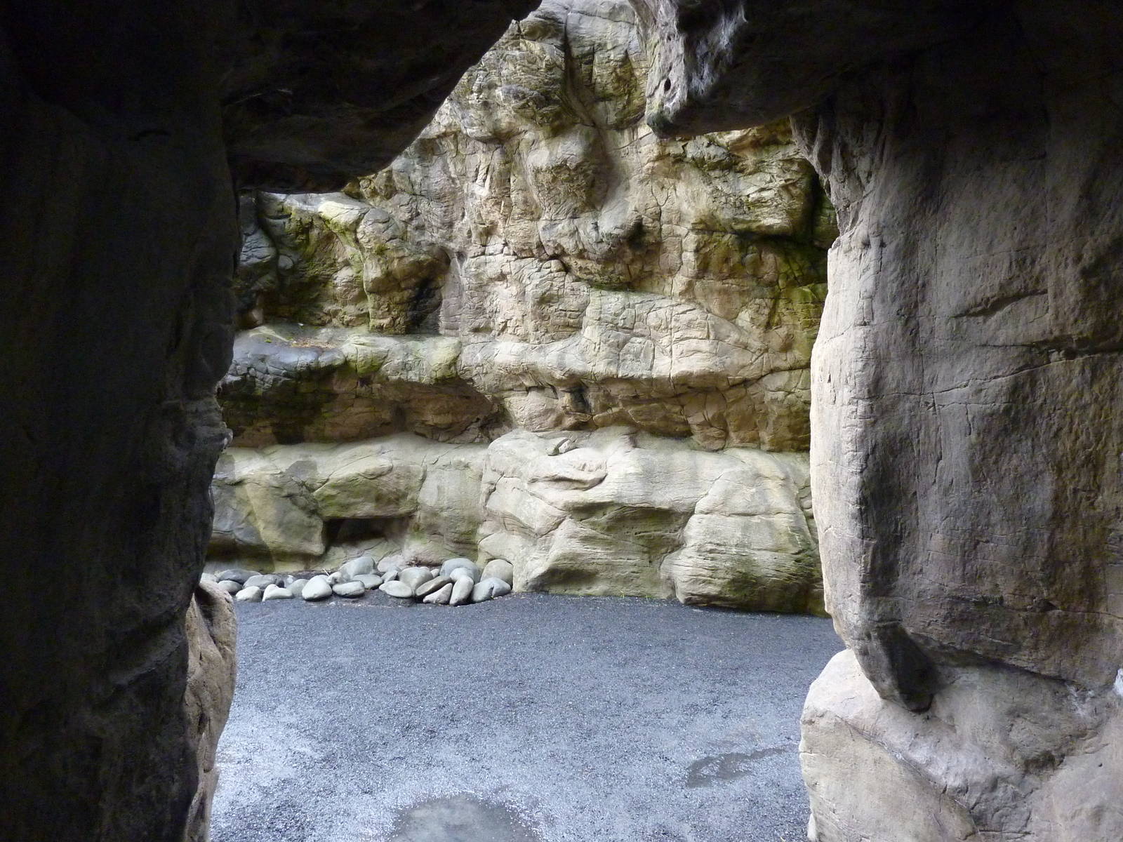 Octopus Viewing Cave