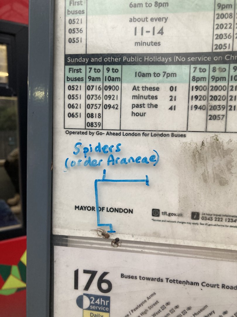 Oddly intellectual graffiti at the bus stop