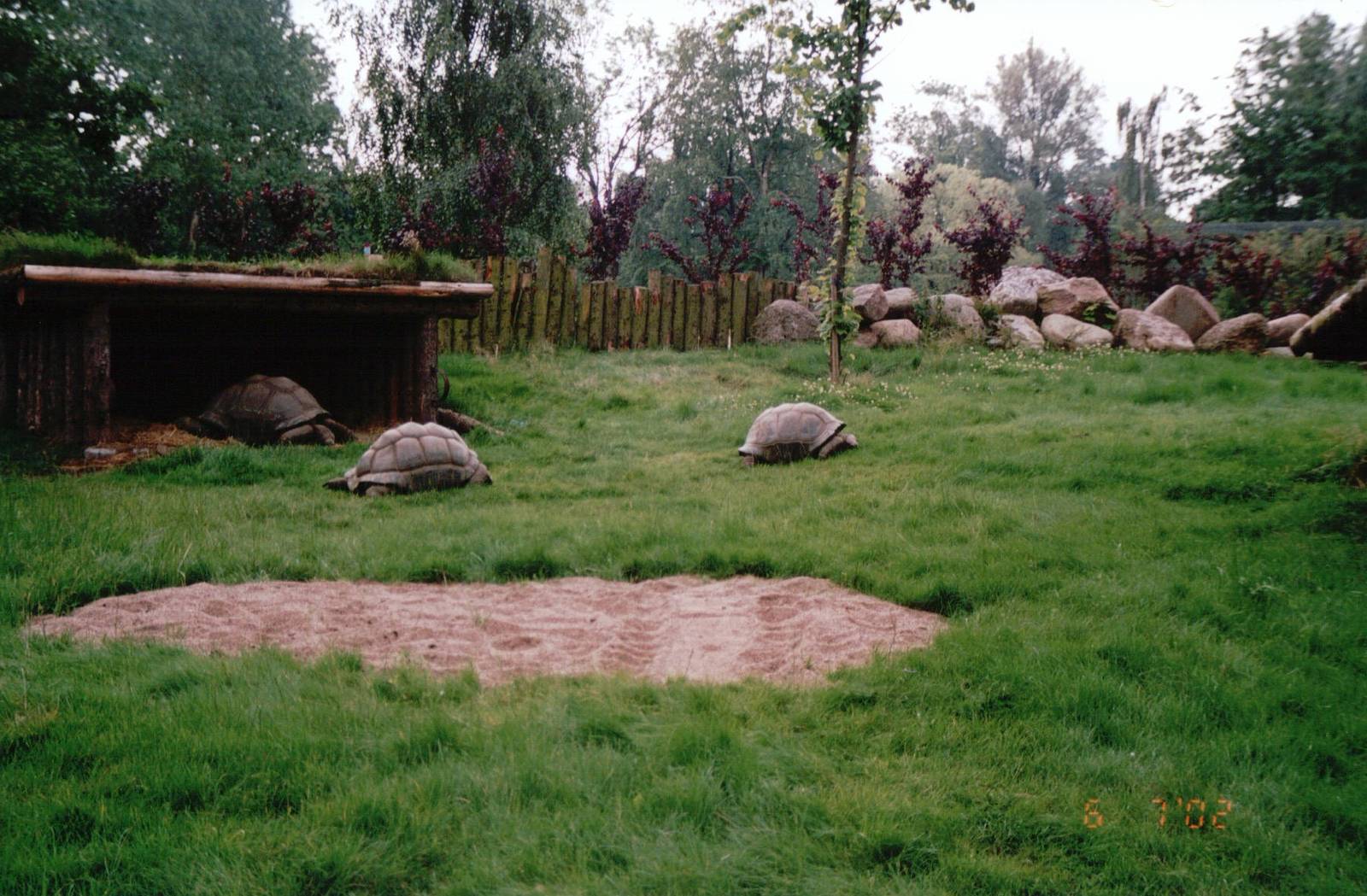 Odense Zoo 2002 - Alabra Giant Tortoise exhibit