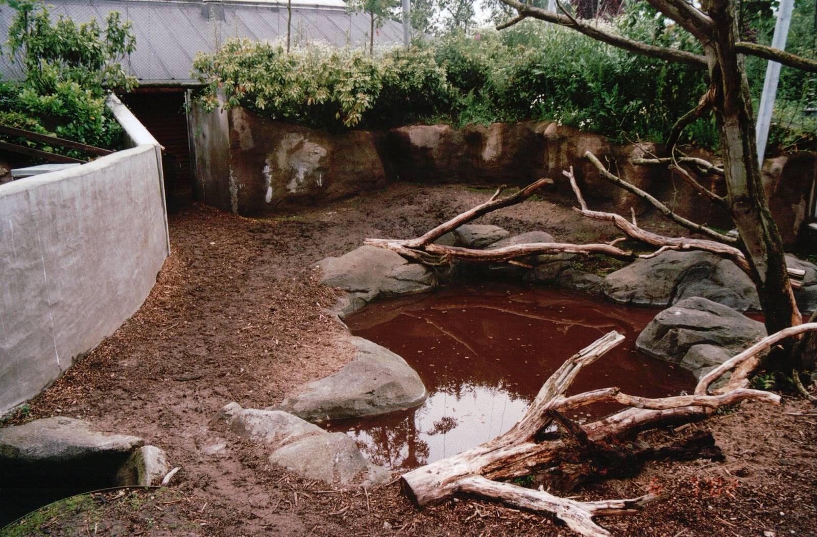 Odense Zoo 2002 - Brazilian Tapir exhibit