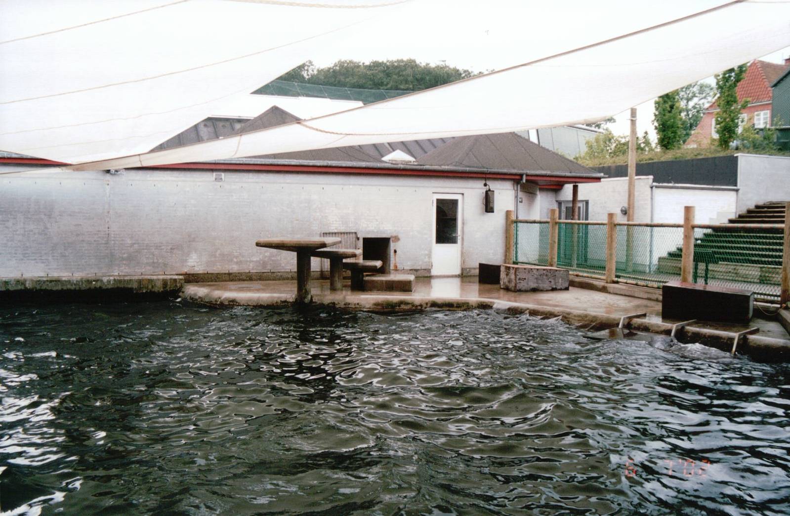 Odense Zoo 2002 - California Sea Lion exhibit