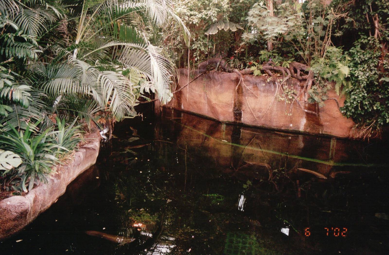 Odense Zoo 2002 - Part of the Caribbean Manatee exhibit