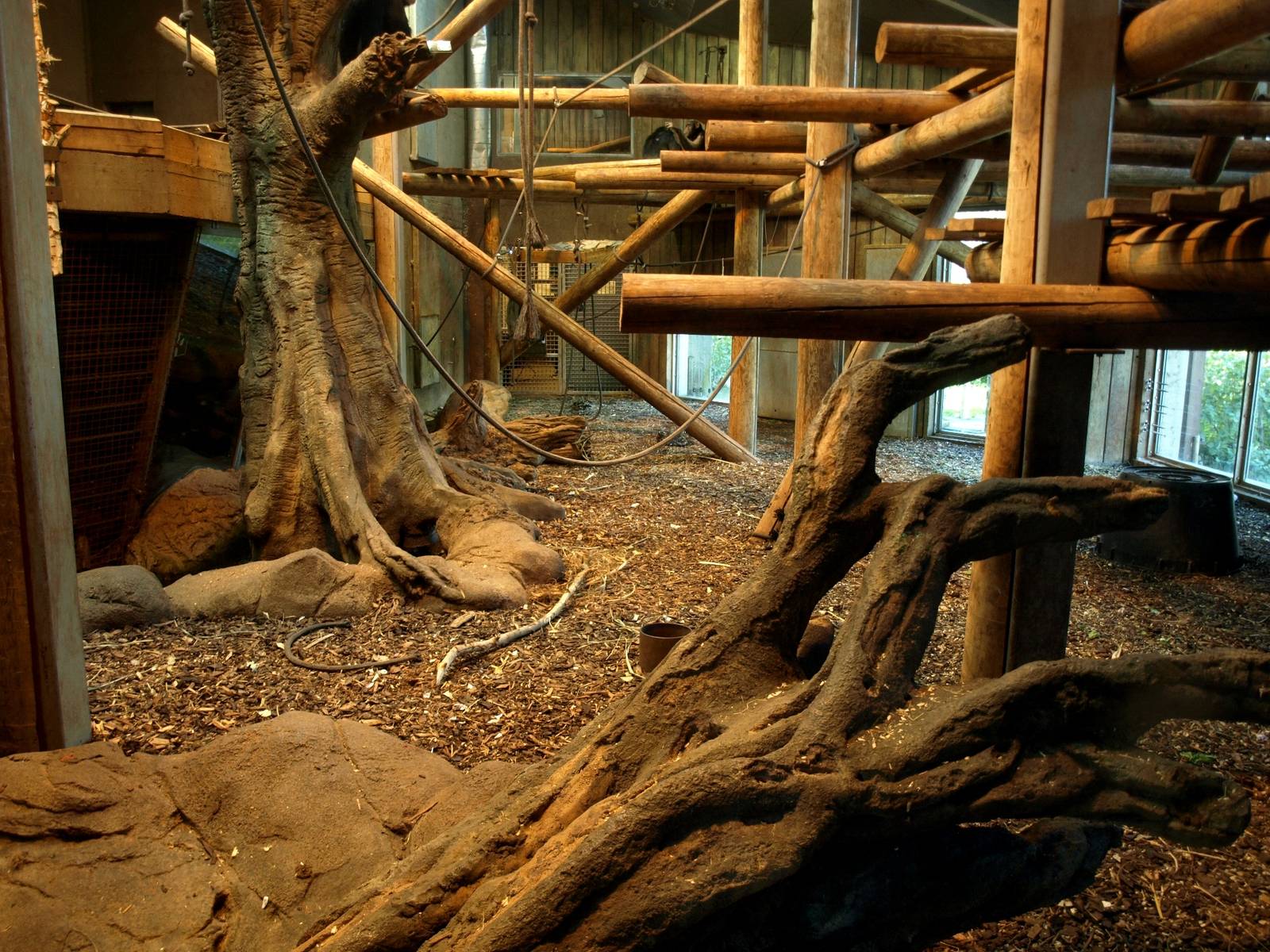 Odense Zoo - Chimpanzee House