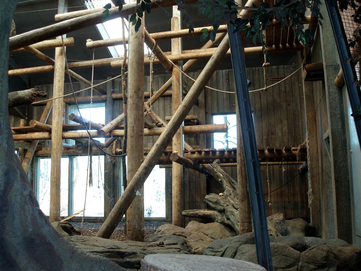 Odense Zoo - Chimpanzee indoor exhibit