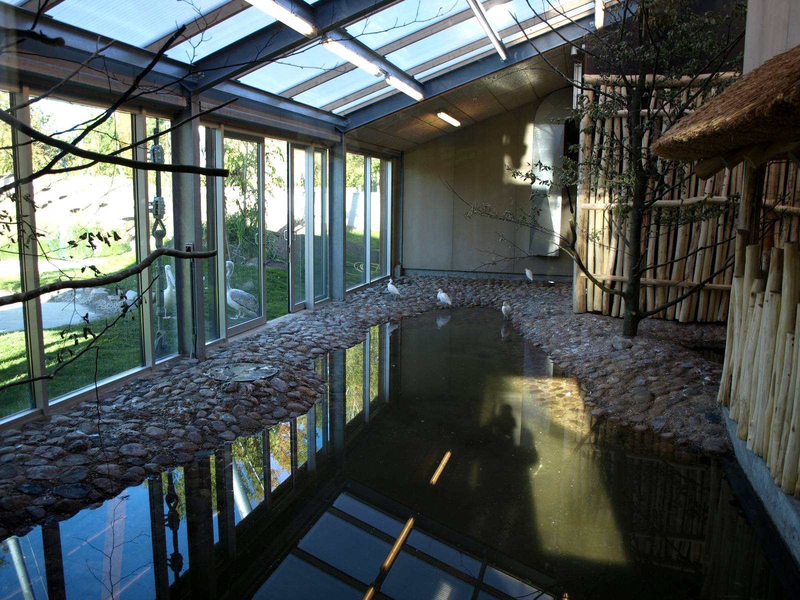 Odense Zoo - Flamingo House