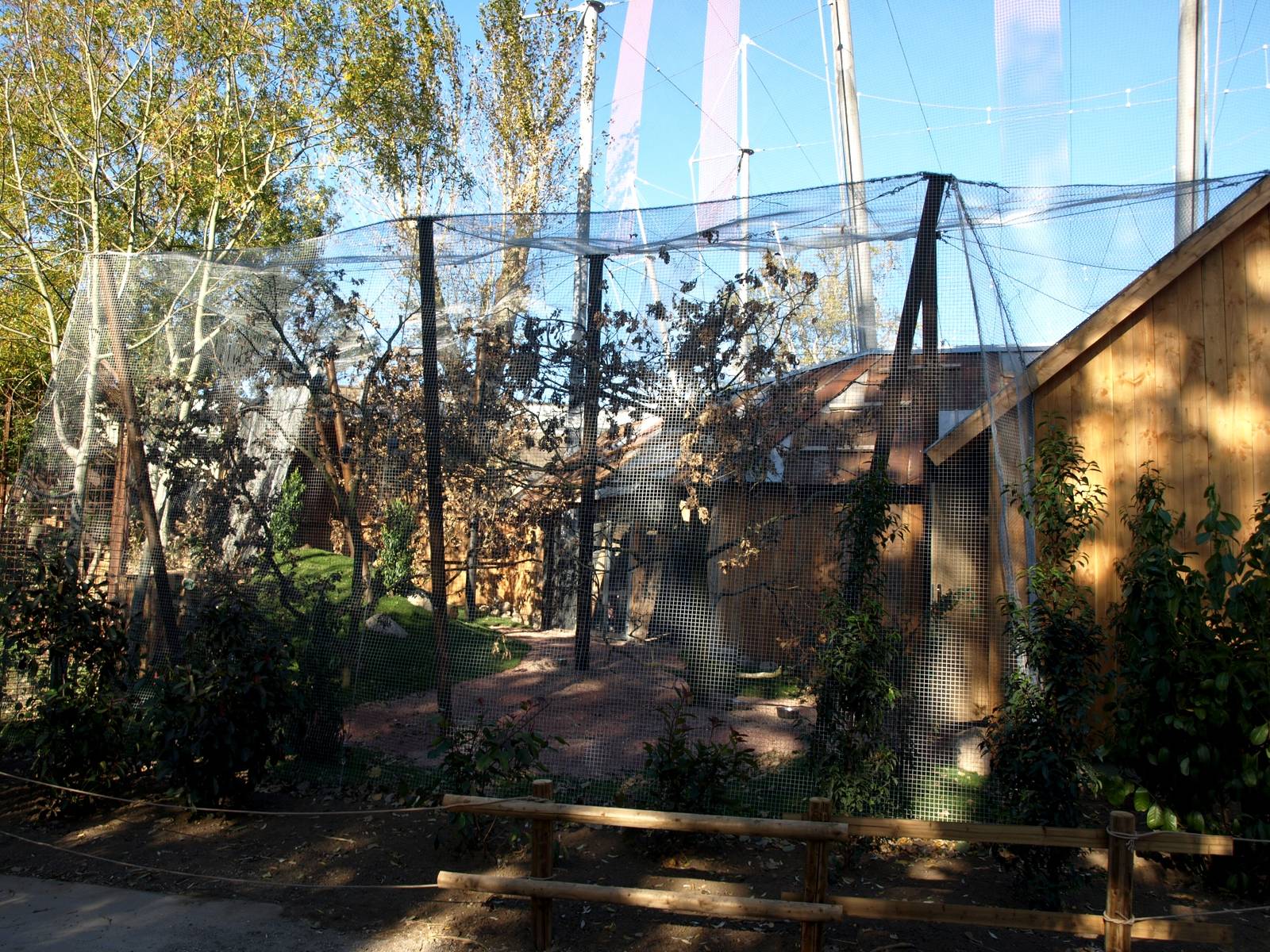 Odense Zoo - Grey parrot aviary