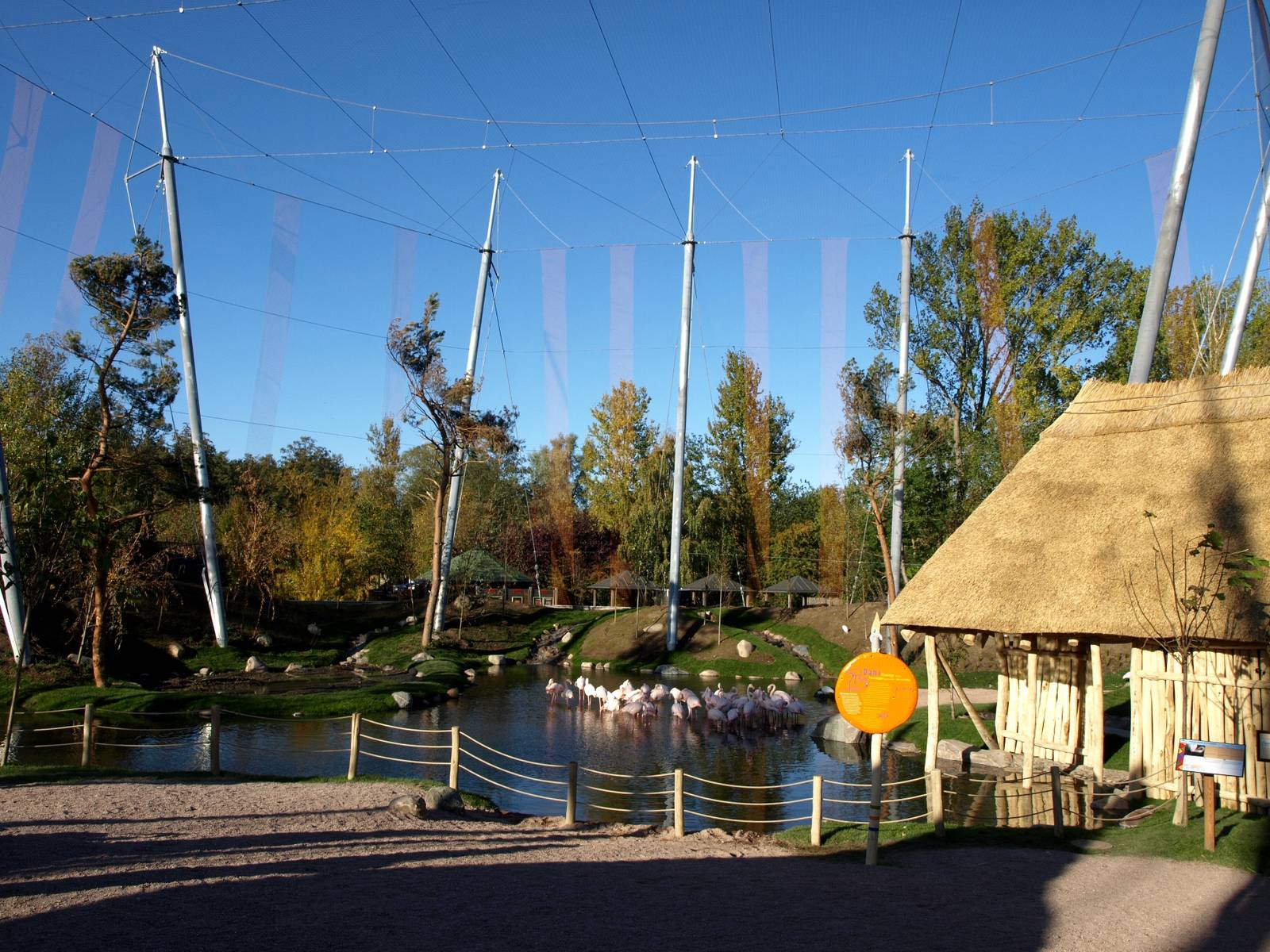Odense Zoo - Kiwara African Aviary
